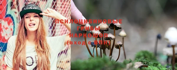 стаф Беломорск