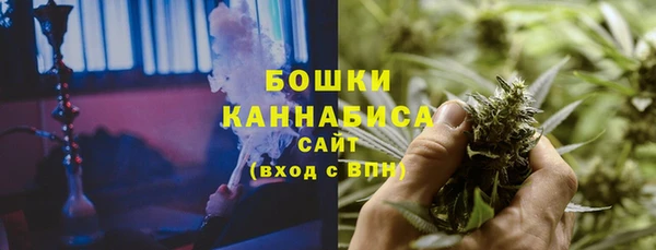 ГАЛЛЮЦИНОГЕННЫЕ ГРИБЫ Белокуриха