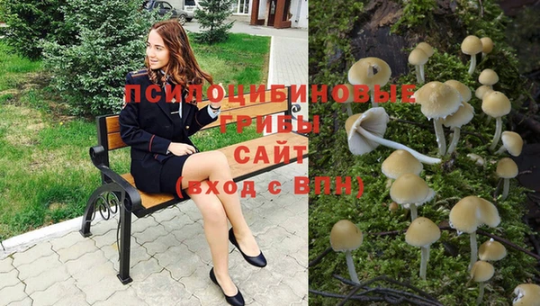 стаф Беломорск