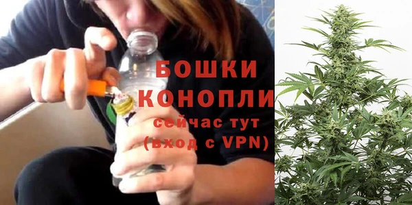 стаф Беломорск
