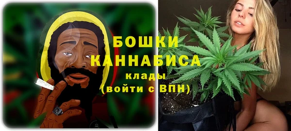 ГАЛЛЮЦИНОГЕННЫЕ ГРИБЫ Белокуриха