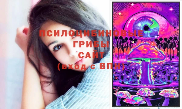 ГАЛЛЮЦИНОГЕННЫЕ ГРИБЫ Белокуриха