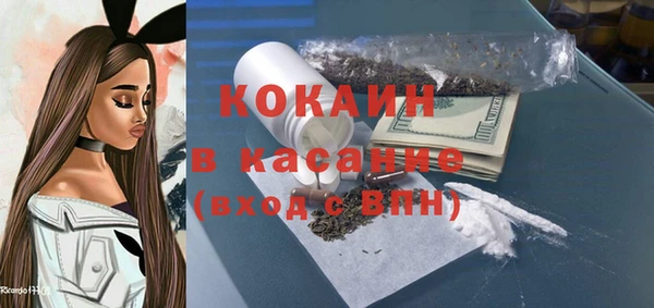 ГАЛЛЮЦИНОГЕННЫЕ ГРИБЫ Белокуриха