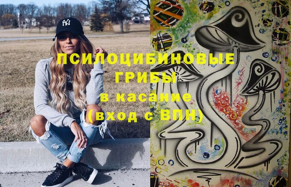 стаф Беломорск