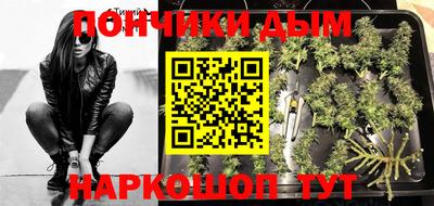 крисы Берёзовский