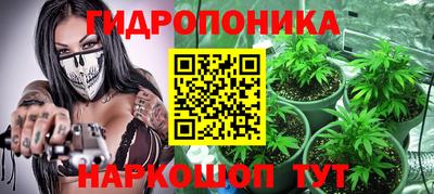 ALPHA PVP Бийск