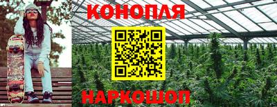 крисы Берёзовский