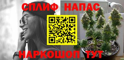 трава Абинск