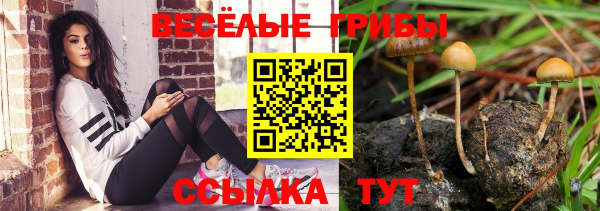 Псилоцибиновые грибы ЛСД  Дивногорск 