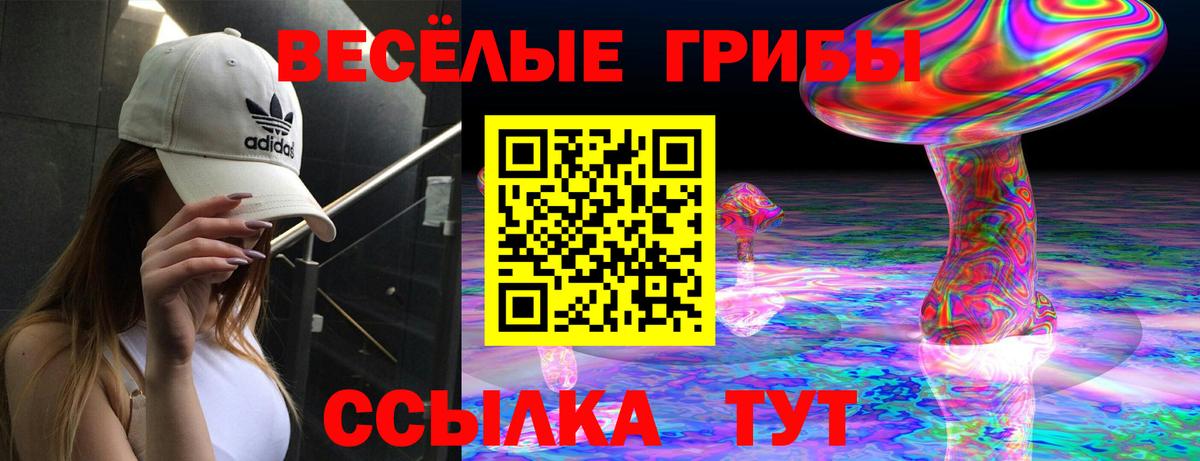 Дивногорск  Псилоцибиновые грибы Psilocybe  купить наркоту  Псилоцибиновые грибы Psilocybe  Вход с VPN 