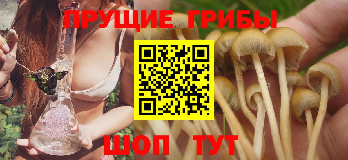 Псилоцибиновые грибы Magic Shrooms Дивногорск