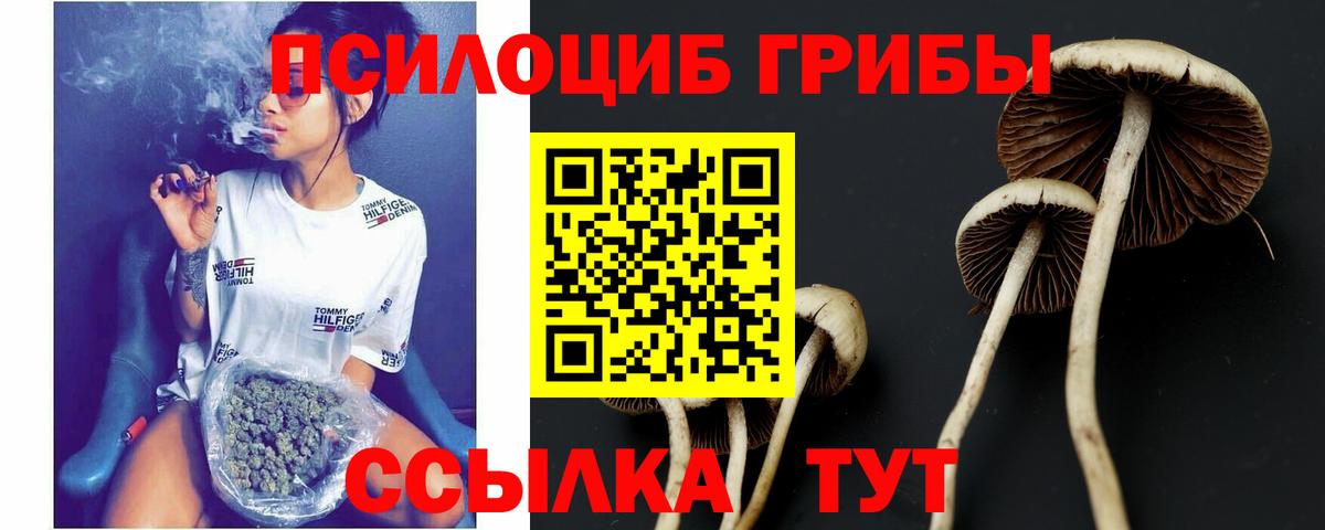 Галлюциногенные грибы GOLDEN TEACHER Дивногорск